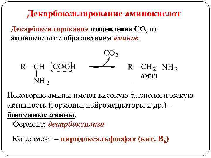 Декарбоксилирование аминокислот Декарбоксилирование отщепление СО 2 от аминокислот с образованием аминов. амин Некоторые амины
