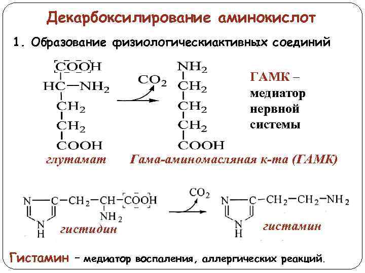 Декарбоксилирование аминокислот 1. Образование физиологическиактивных соединий ГАМК – медиатор нервной системы глутамат Гама-аминомасляная к-та