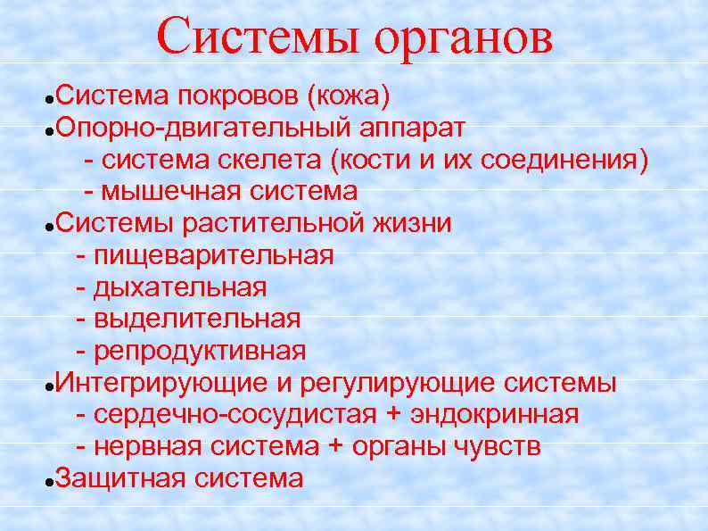 Системы органов Система покровов (кожа) Опорно-двигательный аппарат - система скелета (кости и их соединения)