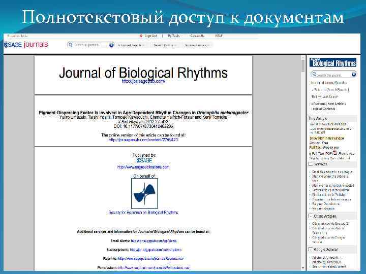 Полнотекстовый доступ к документам 