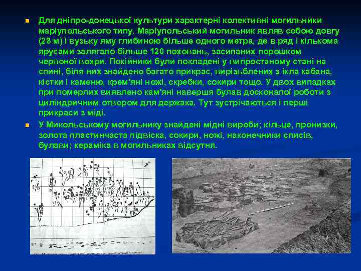 n n Для дніпро-донецької культури характерні колективні могильники маріупольського типу. Маріупольський могильник являв собою