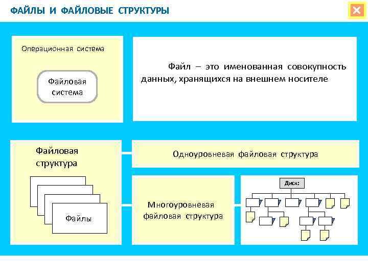 Как называется именованная совокупность файлов и