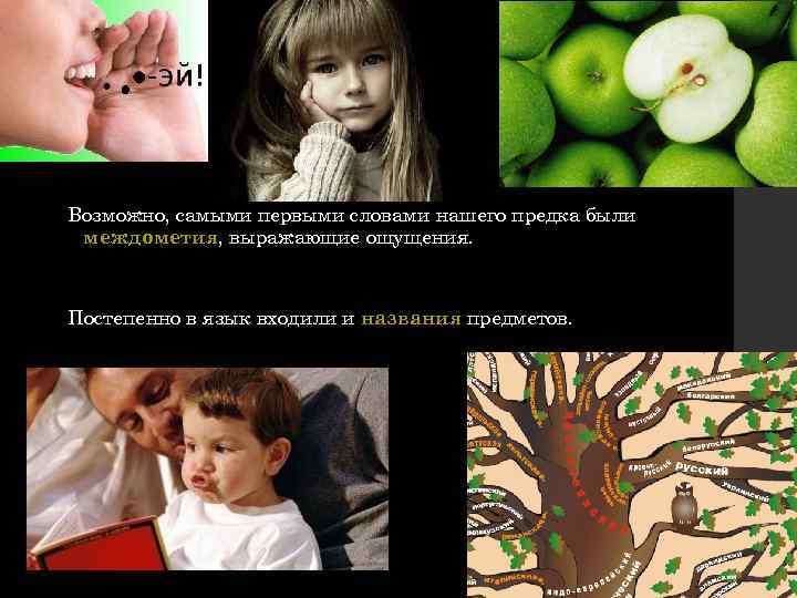 Возможно, самыми первыми словами нашего предка были междометия, выражающие ощущения. Постепенно в язык входили