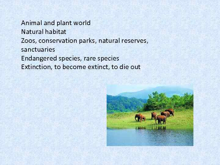Animal and plant world Natural habitat Zoos, conservation parks, natural reserves, sanctuaries Endangered species,