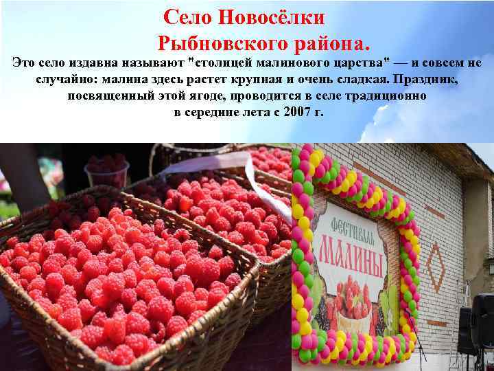 Село Новосёлки Рыбновского района. Это село издавна называют "столицей малинового царства" — и совсем