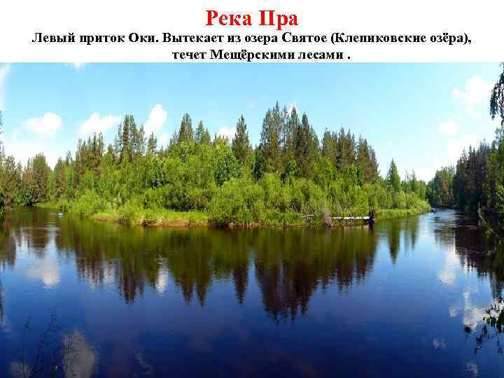 Река Пра Левый приток Оки. Вытекает из озера Святое (Клепиковские озёра), течет Мещёрскими лесами.