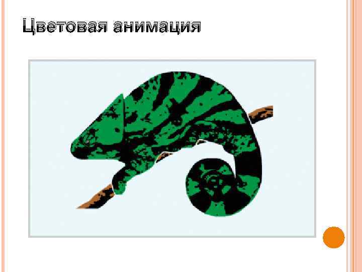 Цветовая анимация 