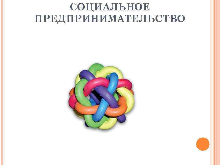 СОЦИАЛЬНОЕ ПРЕДПРИНИМАТЕЛЬСТВО 