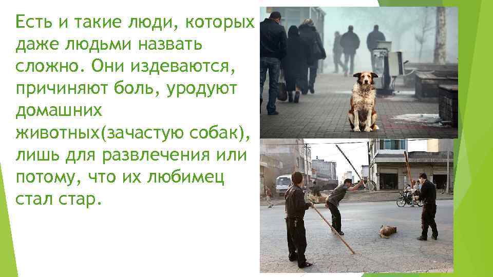 Есть и такие люди, которых даже людьми назвать сложно. Они издеваются, причиняют боль, уродуют