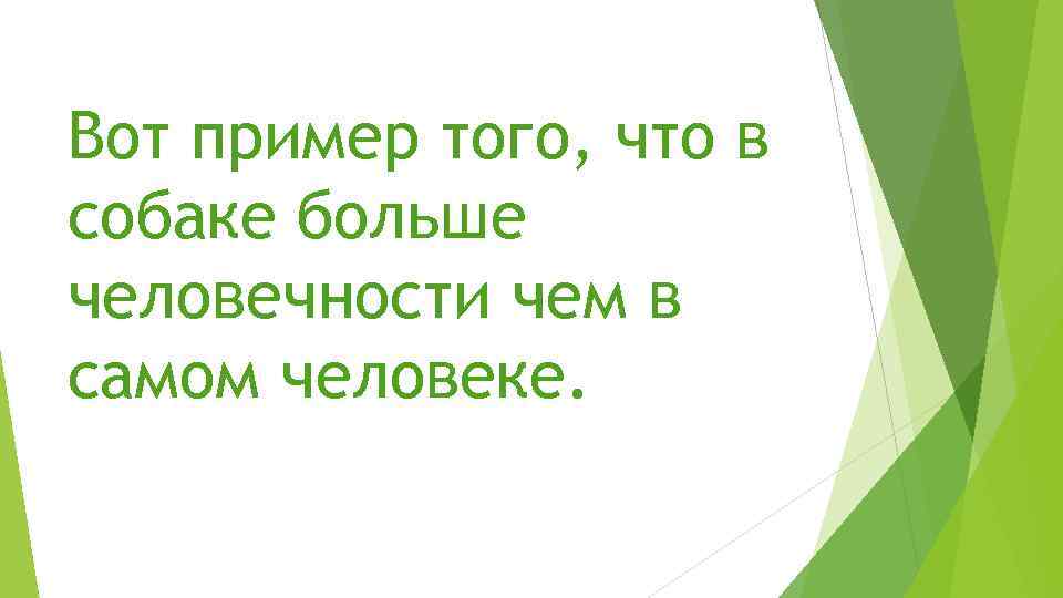 Вот пример того, что в собаке больше человечности чем в самом человеке. 