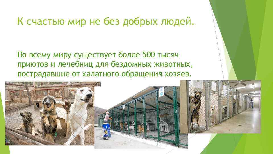 К счастью мир не без добрых людей. По всему миру существует более 500 тысяч