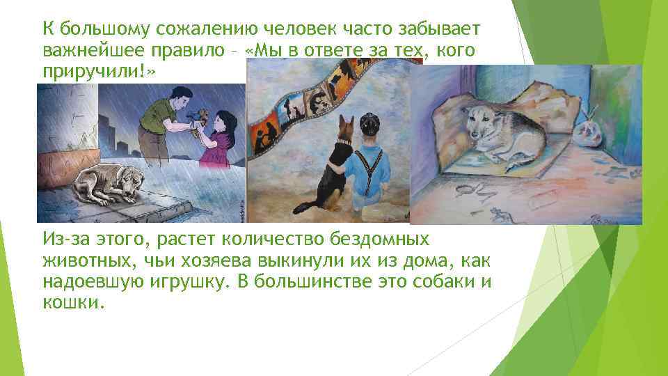 К большому сожалению человек часто забывает важнейшее правило – «Мы в ответе за тех,