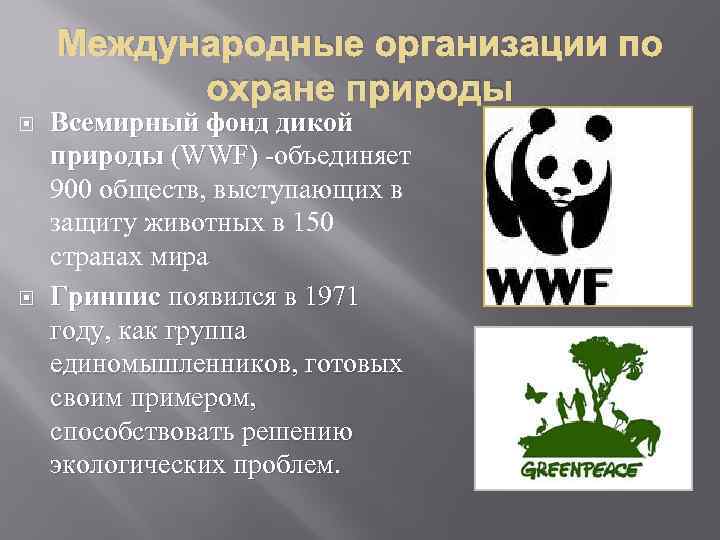 Международные организации по охране природы Всемирный фонд дикой природы (WWF) -объединяет (WWF) 900 обществ,