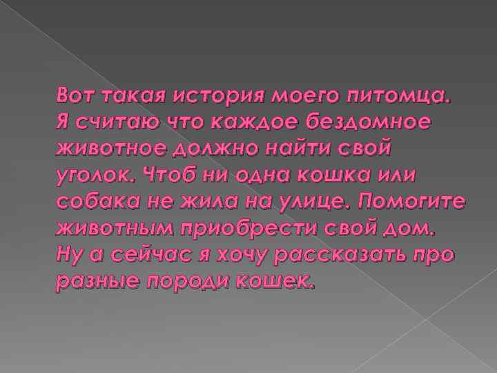 Вот такая история моего питомца. Я считаю что каждое бездомное животное должно найти свой