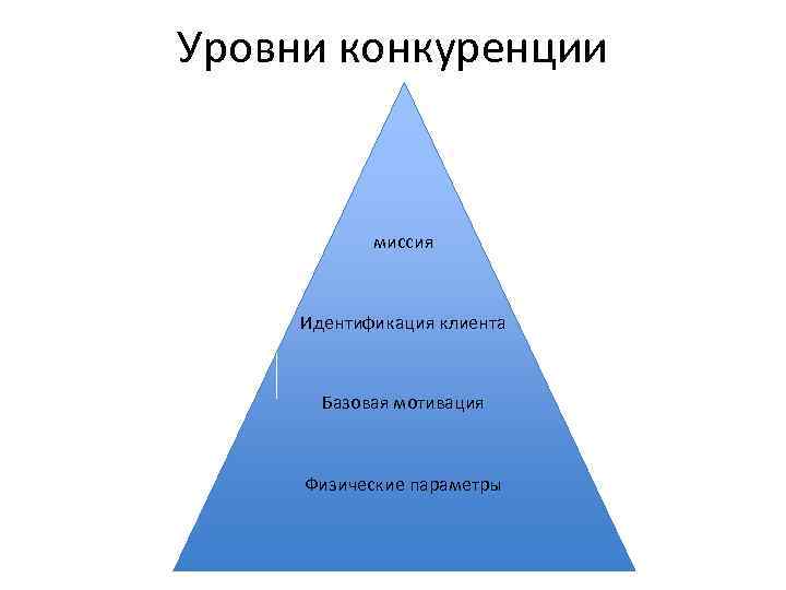Уровни конкуренции миссия Идентификация клиента Базовая мотивация Физические параметры 