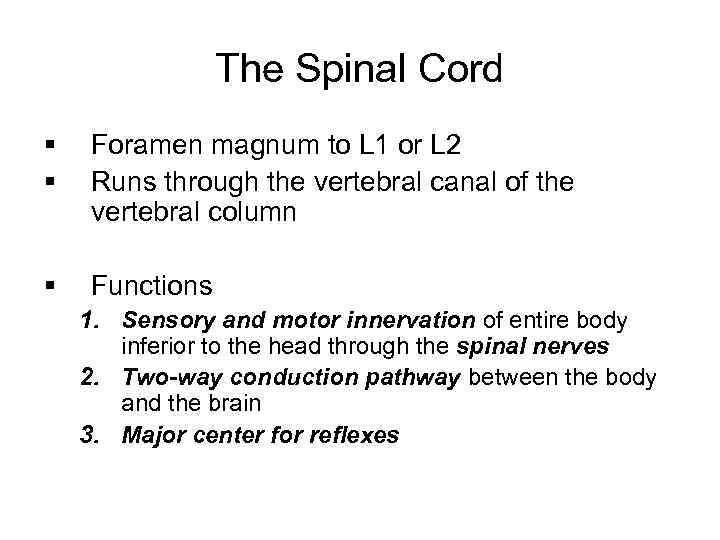 The Spinal Cord § § Foramen magnum to L 1 or L 2 Runs