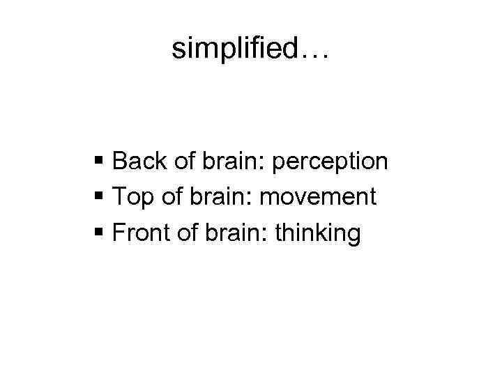 simplified… § Back of brain: perception § Top of brain: movement § Front of