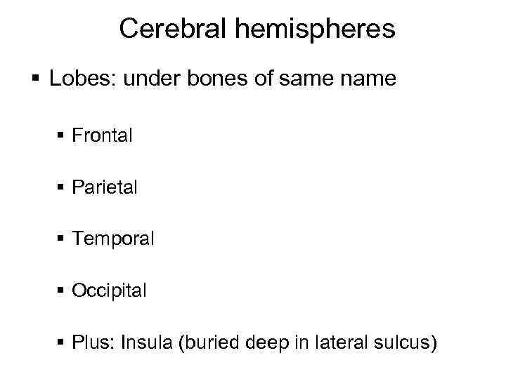 Cerebral hemispheres § Lobes: under bones of same name § Frontal § Parietal §