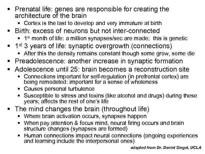 § Prenatal life: genes are responsible for creating the architecture of the brain §