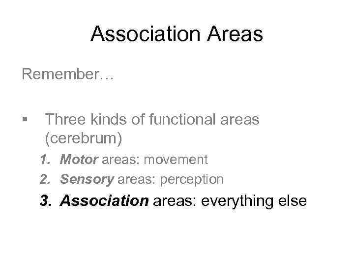 Association Areas Remember… § Three kinds of functional areas (cerebrum) 1. Motor areas: movement