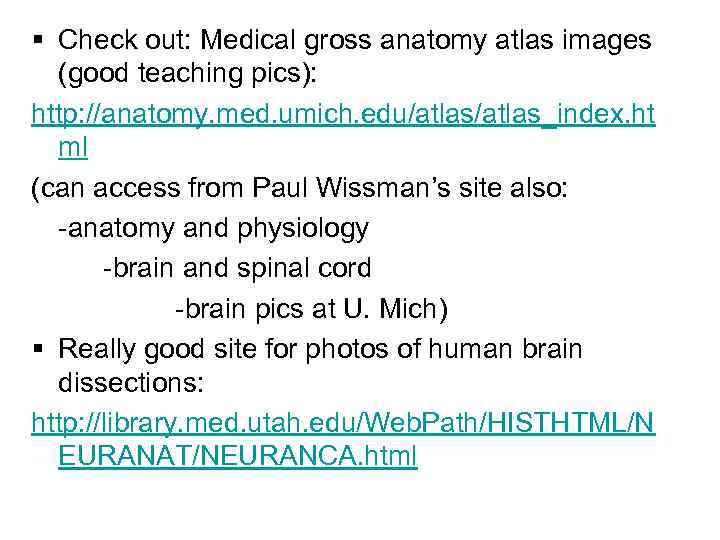 § Check out: Medical gross anatomy atlas images (good teaching pics): http: //anatomy. med.