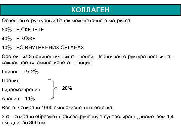 КОЛЛАГЕН Основной структурный белок межклеточного матрикса 50% - В СКЕЛЕТЕ 40% - В КОЖЕ