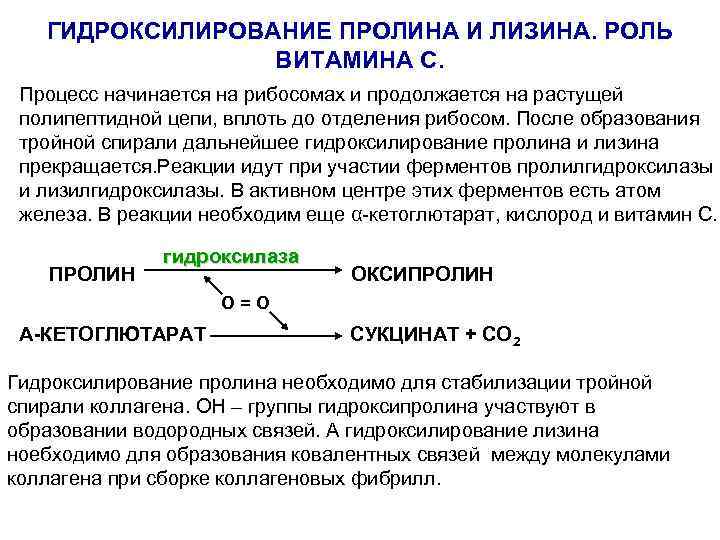 ГИДРОКСИЛИРОВАНИЕ ПРОЛИНА И ЛИЗИНА. РОЛЬ ВИТАМИНА С. Процесс начинается на рибосомах и продолжается на