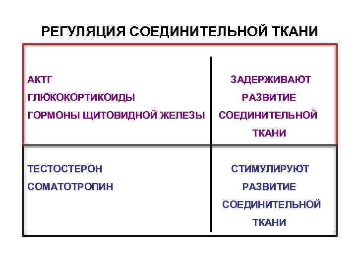 РЕГУЛЯЦИЯ СОЕДИНИТЕЛЬНОЙ ТКАНИ АКТГ ГЛЮКОКОРТИКОИДЫ ГОРМОНЫ ЩИТОВИДНОЙ ЖЕЛЕЗЫ ЗАДЕРЖИВАЮТ РАЗВИТИЕ СОЕДИНИТЕЛЬНОЙ ТКАНИ ТЕСТОСТЕРОН СОМАТОТРОПИН