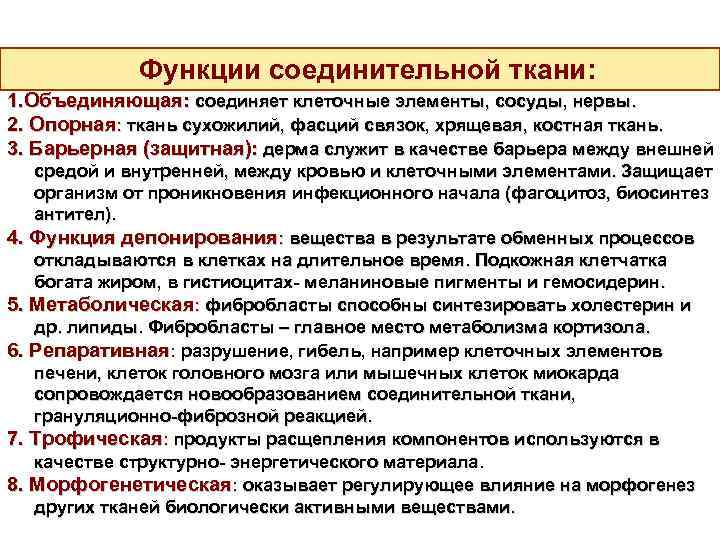 Функции соединительной ткани: 1. Объединяющая: соединяет клеточные элементы, сосуды, нервы. 2. Опорная: ткань сухожилий,