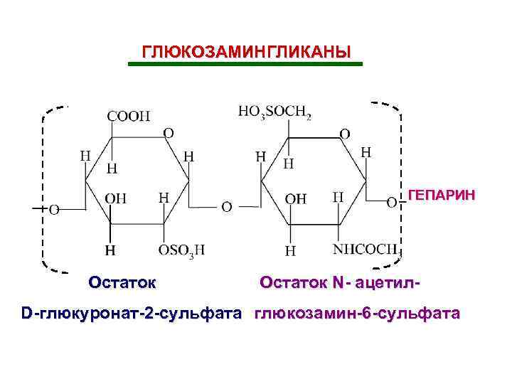 Какими буквами обозначены изображения соединительной ткани