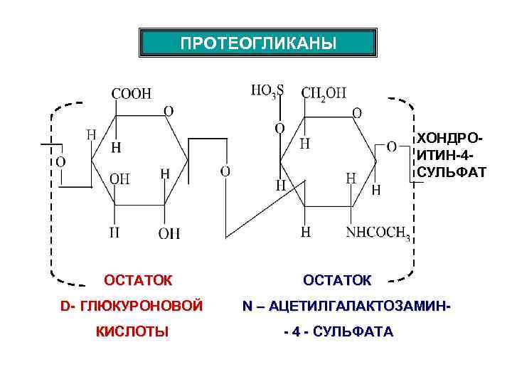 Протеогликаны. Протеогликаны строение биохимия. Хондроитин сульфат протеогликаны. Протеогликаны строение формула.