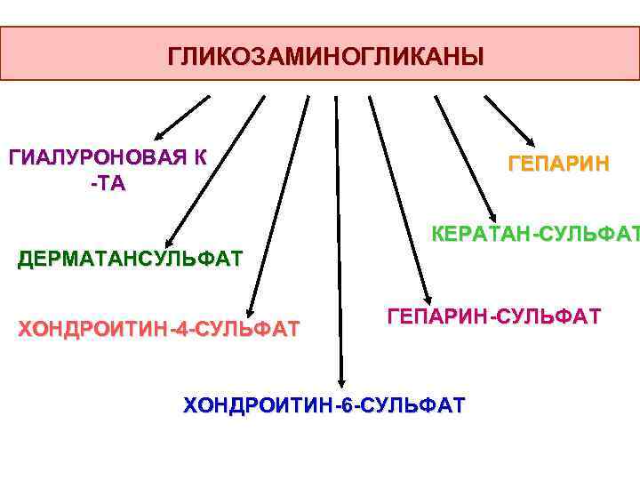 ГЛИКОЗАМИНОГЛИКАНЫ ГИАЛУРОНОВАЯ К -ТА ГЕПАРИН КЕРАТАН-СУЛЬФАТ ДЕРМАТАНСУЛЬФАТ ХОНДРОИТИН-4 -СУЛЬФАТ ГЕПАРИН-СУЛЬФАТ ХОНДРОИТИН-6 -СУЛЬФАТ 