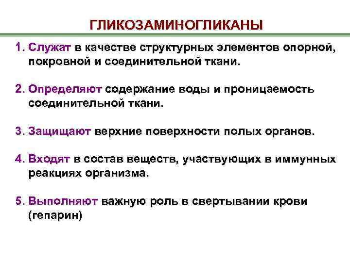 ГЛИКОЗАМИНОГЛИКАНЫ 1. Служат в качестве структурных элементов опорной, покровной и соединительной ткани. 2. Определяют