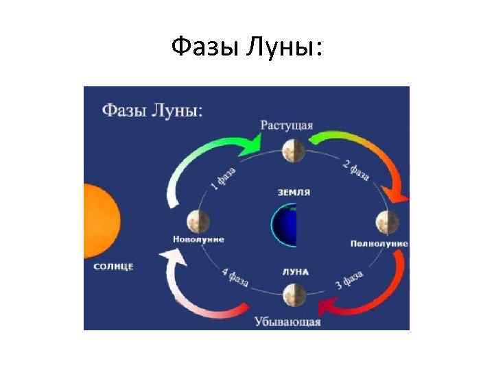 Фазы Луны: 