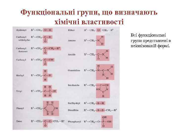 Функціональні групи, що визначають хімічні властивості Всі функціональні групи представлені в неіонізованій формі. 