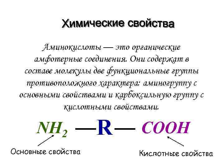 Аминокислоты — это органические амфотерные соединения. Они содержат в составе молекулы две функциональные группы