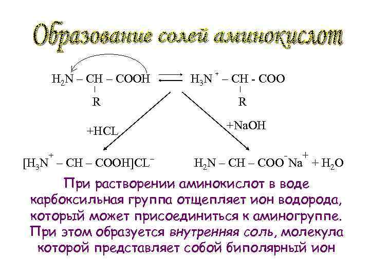 H 2 N – CH – COOH R [H 3 N – CH –