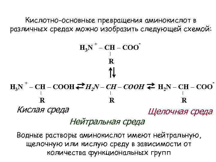 Молекулярная масса аминокислоты