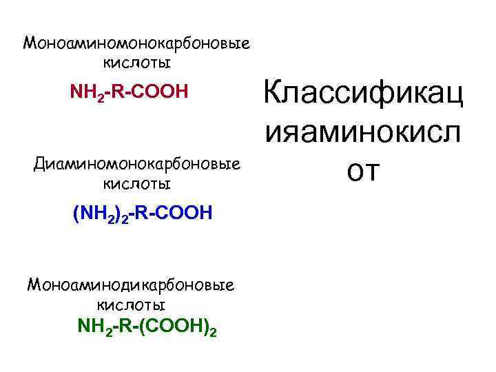 Моноаминомонокарбоновые кислоты NH 2 -R-COOH Диаминомонокарбоновые кислоты (NH 2)2 -R-COOH Моноаминодикарбоновые кислоты NH 2