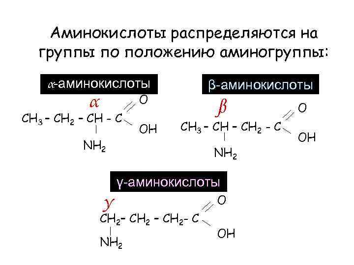 Аминокислоты распределяются на группы по положению аминогруппы: β-аминокислоты α-аминокислоты O α CH 3 –