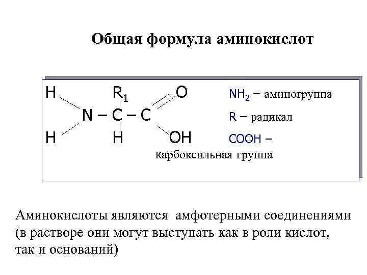 Состав радикалов аминокислот. Формула аминокислот общая формула. Формула аминокислоты общая молекулярная. Общая структурная формула аминокислоты. Общая структура аминокислот формула.