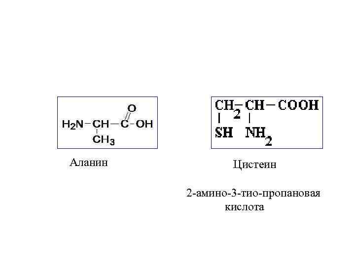 Аланин Цистеин 2 -амино-3 -тио-пропановая кислота 