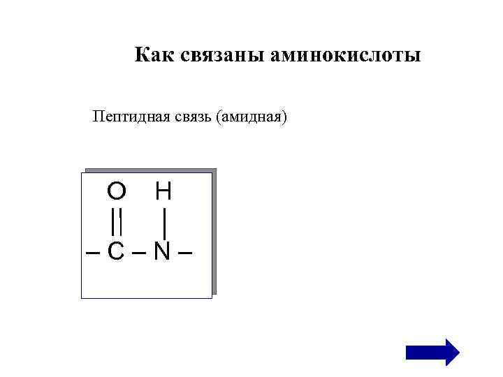 Как связаны аминокислоты Пептидная связь (амидная) O H –С–N– 