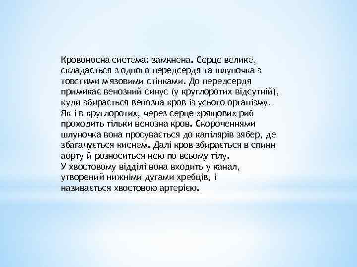 Кровоносна система: замкнена. Серце велике, складається з одного передсердя та шлуночка з товстими м'язовими