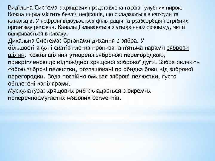 Видільна Система : хрящових представлена парою тулубних нирок. Кожна нирка містить безліч нефронів, що