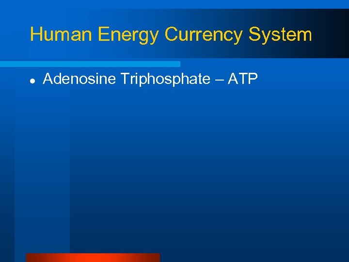 Human Energy Currency System l Adenosine Triphosphate – ATP 