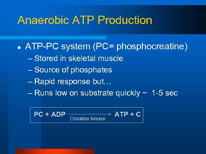 Anaerobic ATP Production l ATP-PC system (PC= phosphocreatine) – Stored in skeletal muscle –