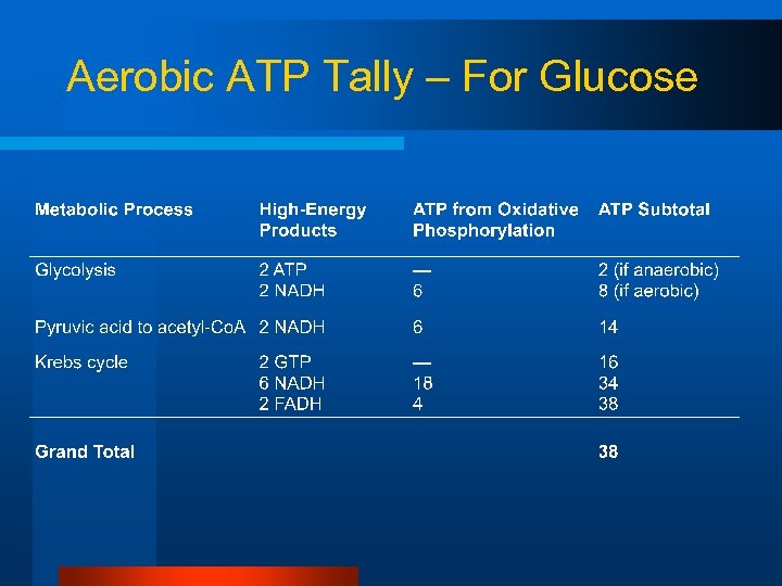 Aerobic ATP Tally – For Glucose 