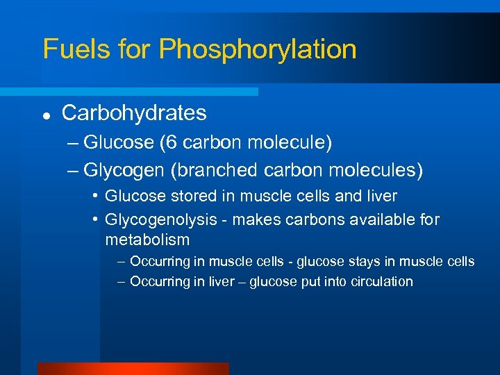 Fuels for Phosphorylation l Carbohydrates – Glucose (6 carbon molecule) – Glycogen (branched carbon