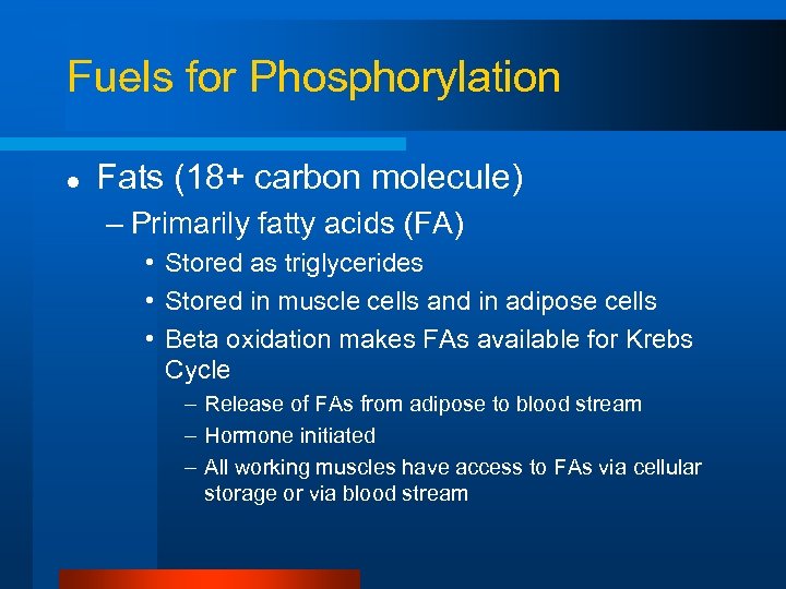 Fuels for Phosphorylation l Fats (18+ carbon molecule) – Primarily fatty acids (FA) •